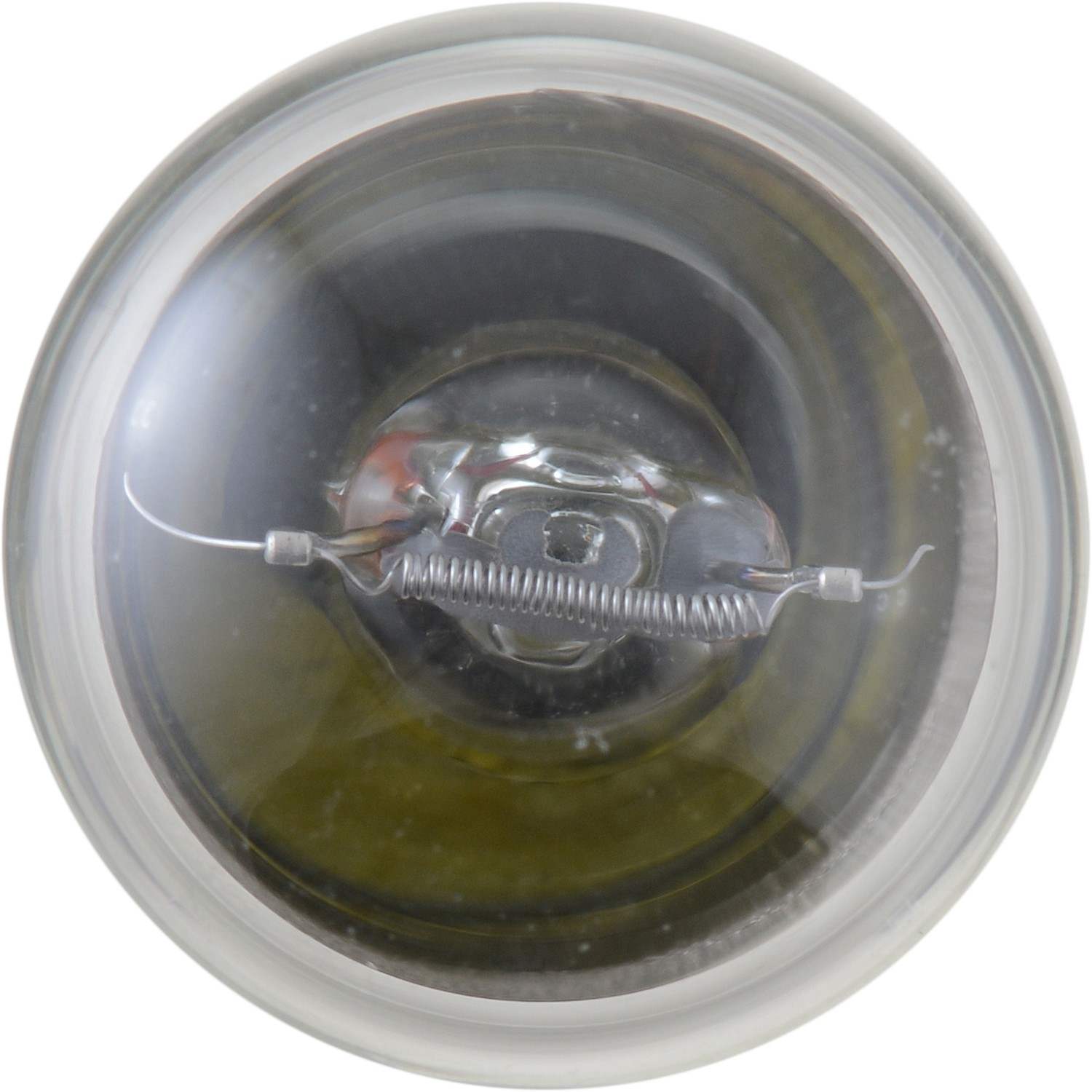 Philips Tail Light Bulb 3497LLB2