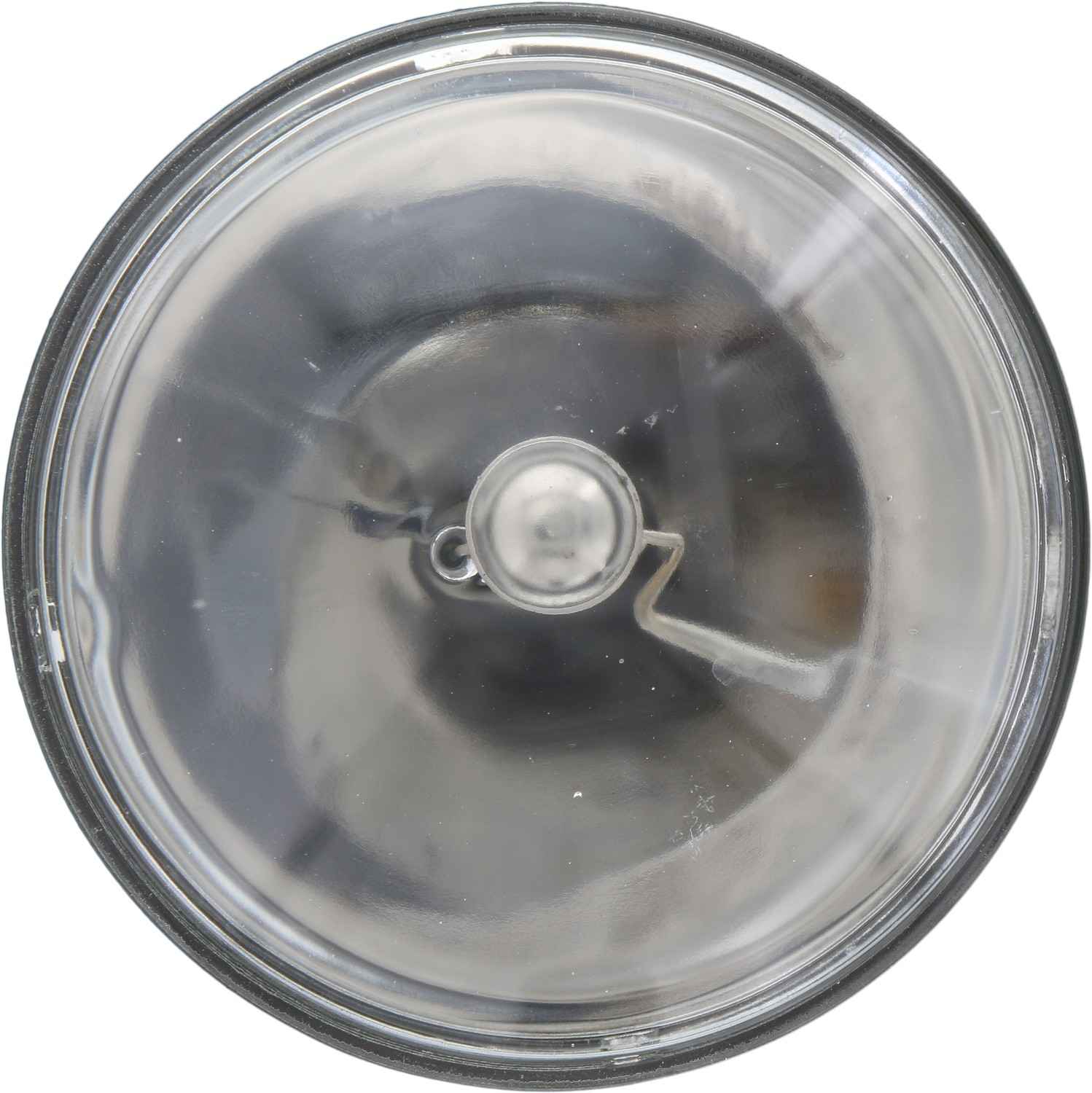 Philips Headlight Bulb 4436C1