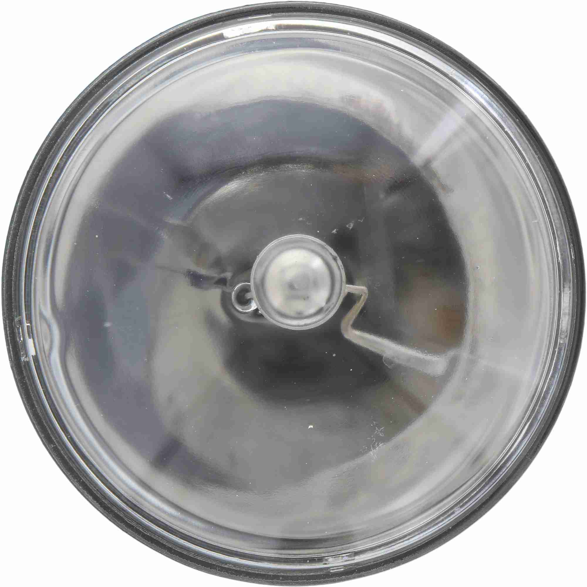 Philips Headlight Bulb 4436C1