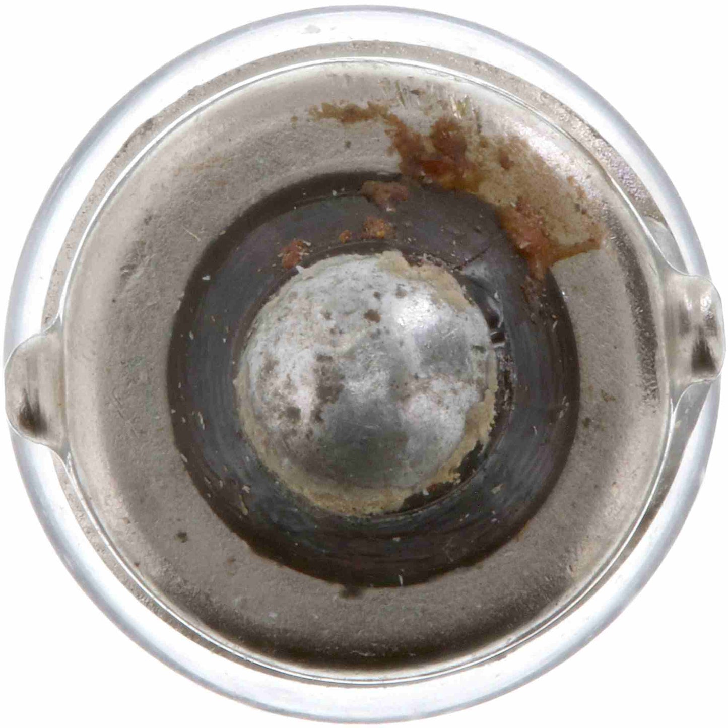Philips Multi-Purpose Light Bulb 51CP