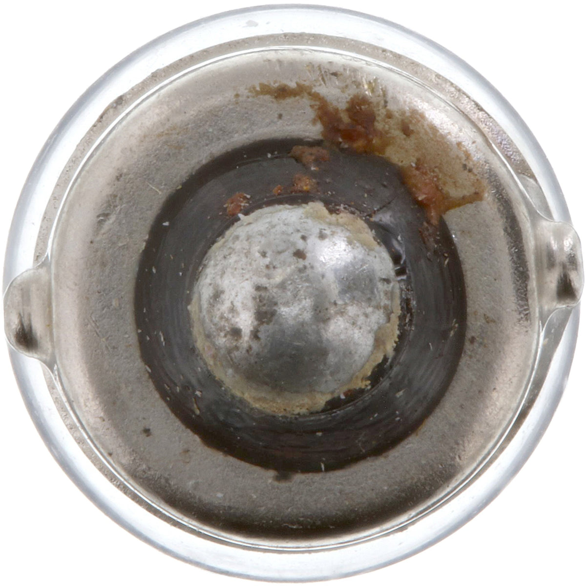 Philips Multi-Purpose Light Bulb 51CP