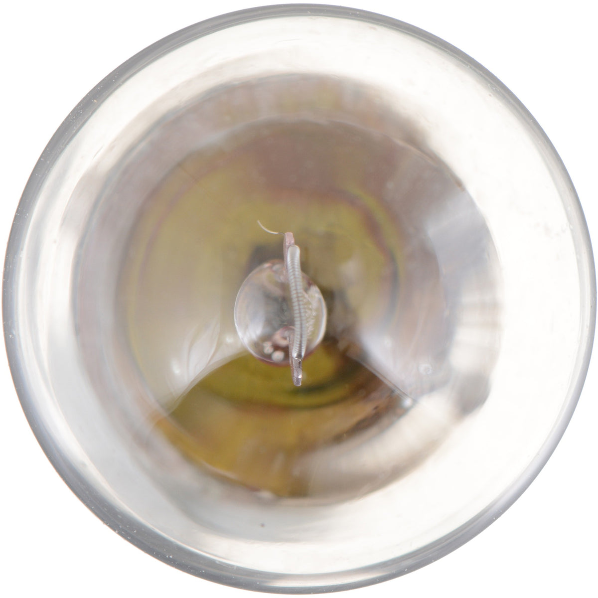 Philips Multi-Purpose Light Bulb 55LLCP