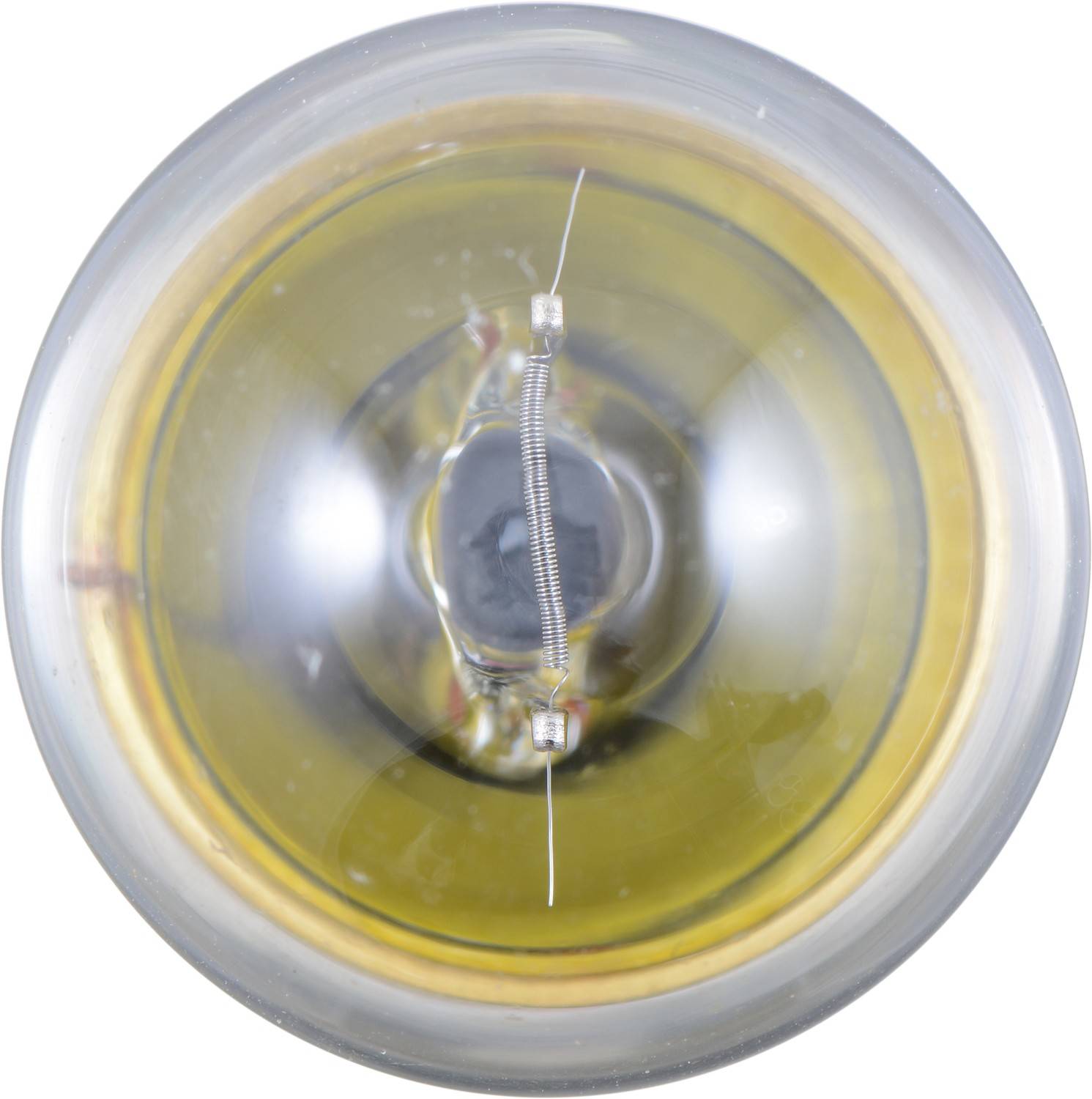 Philips Multi-Purpose Light Bulb 67B2