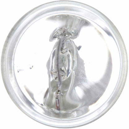 Philips Turn Signal Light Bulb 7441CP