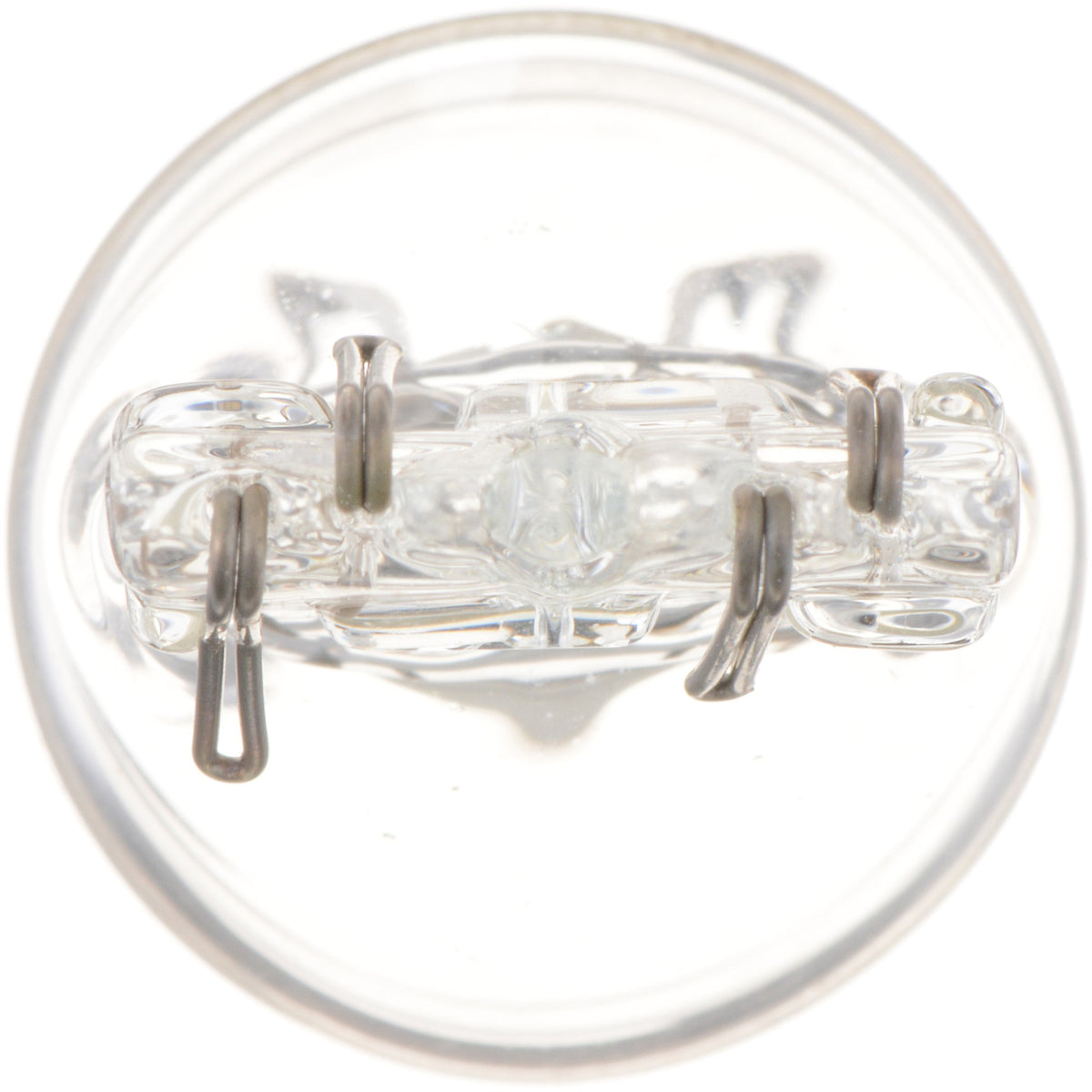 Philips Tail Light Bulb 7443B2