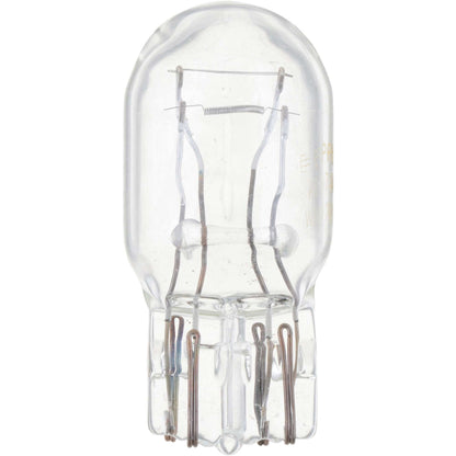 Philips Turn Signal Light Bulb 7443CP
