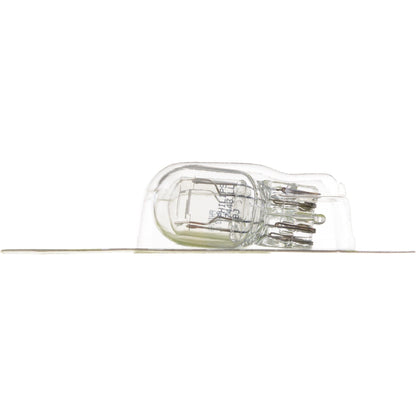 Philips Tail Light Bulb 7443LLB2