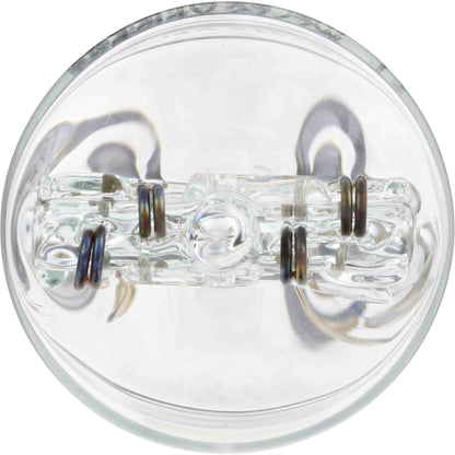 Philips Tail Light Bulb 7444CP