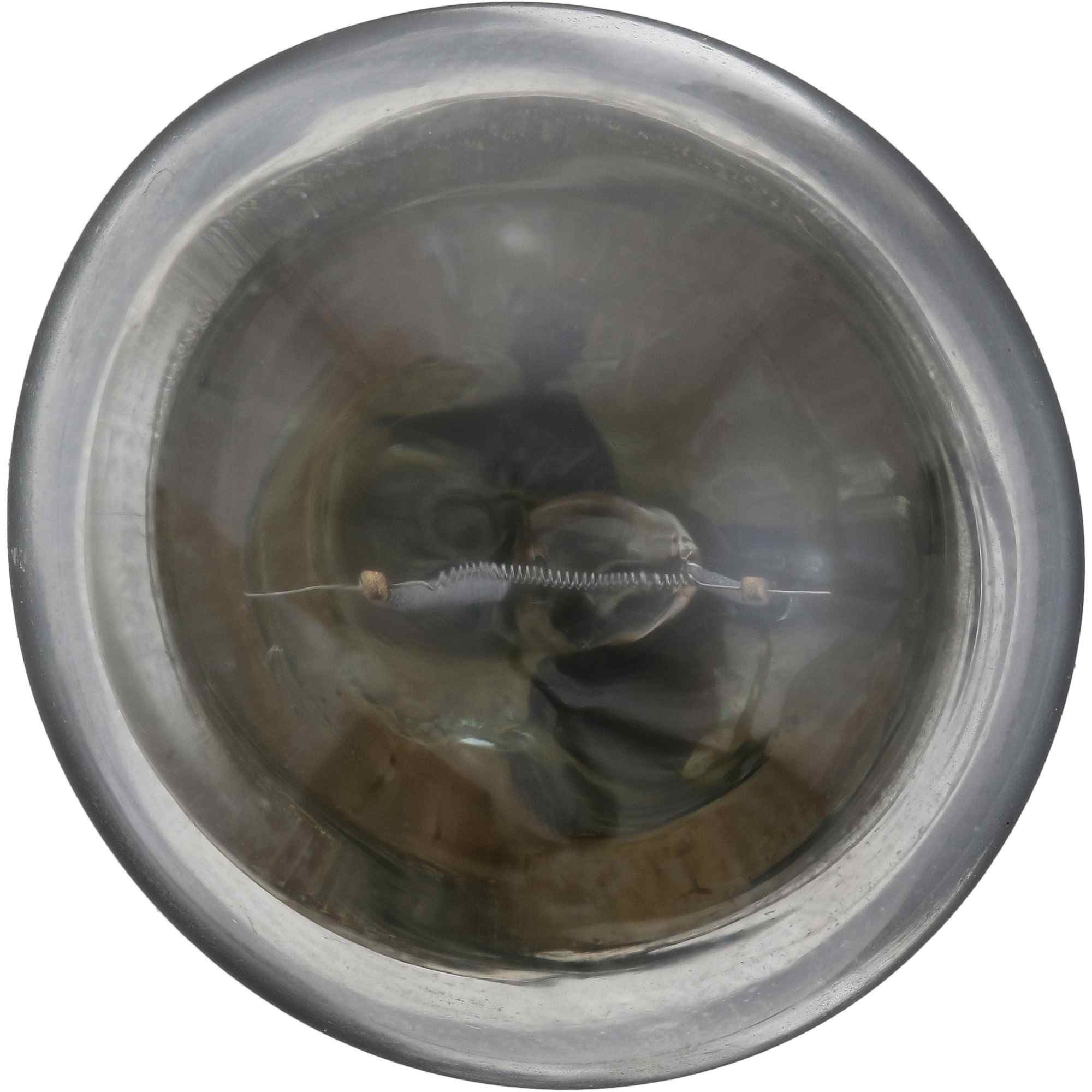 Philips Turn Signal / Parking Light Bulb 81CP