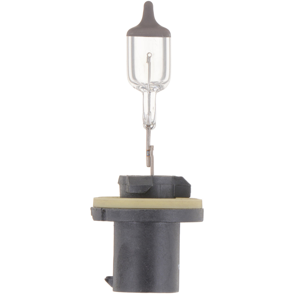 Philips Fog Light Bulb 880B1