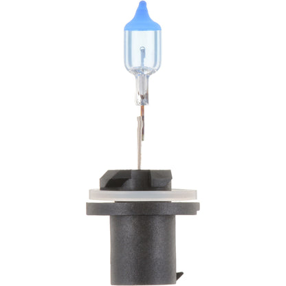 Philips Fog Light Bulb 880CVB1