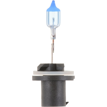 Philips Fog Light Bulb 880CVB1