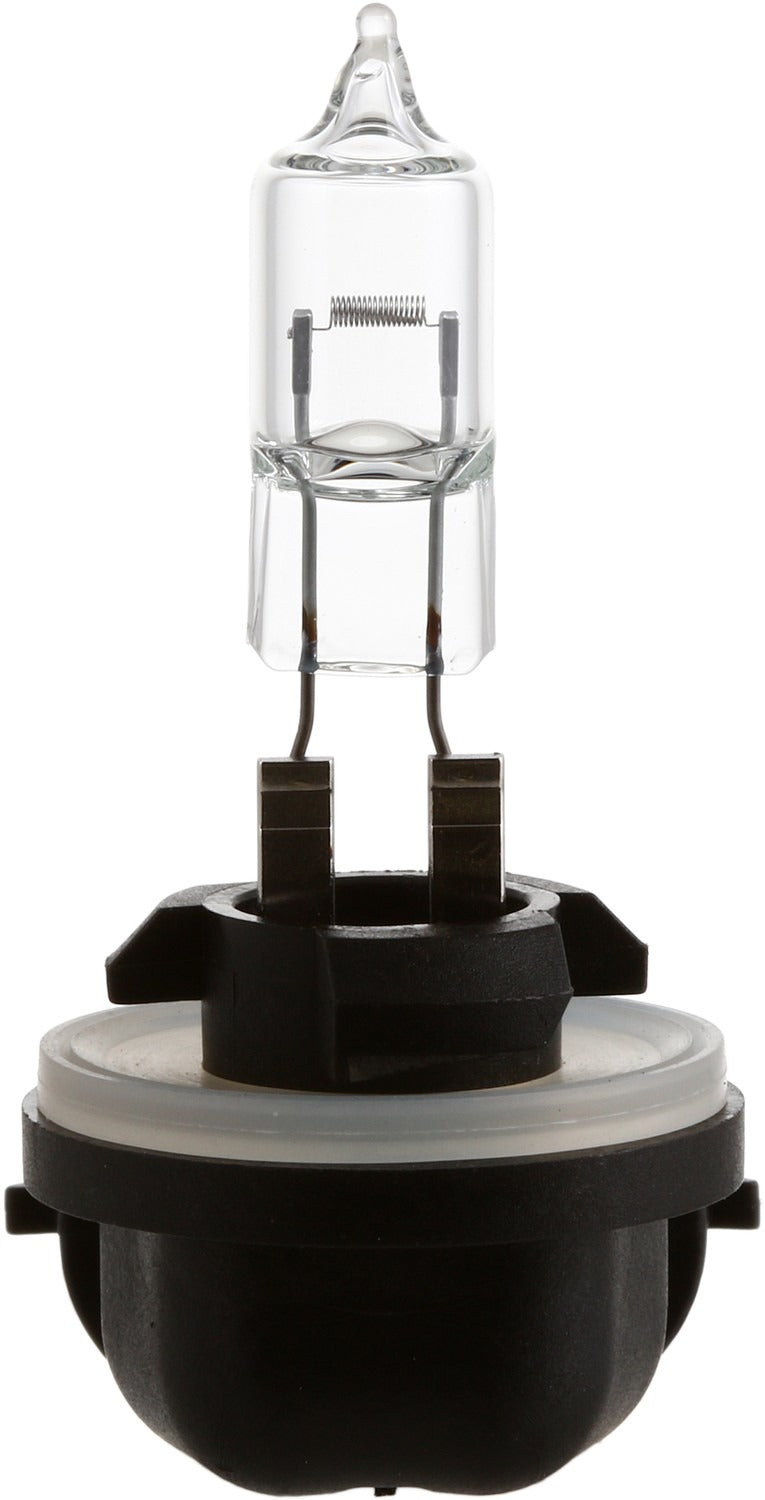 Philips Fog Light Bulb 889B1