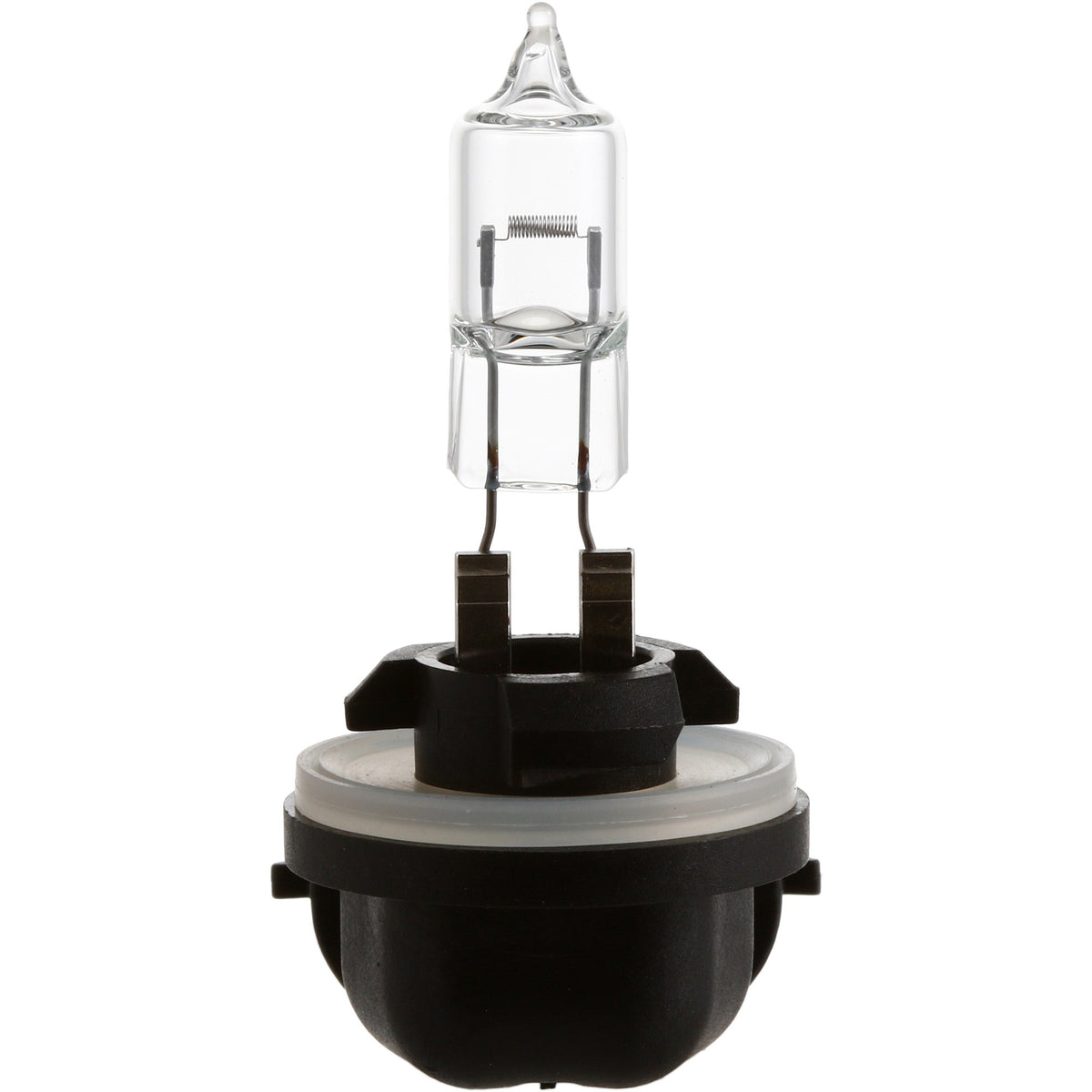 Philips Fog Light Bulb 889B1