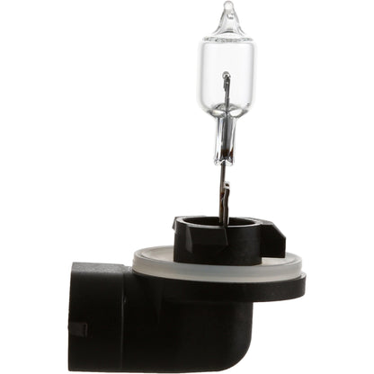 Philips Fog Light Bulb 889B1