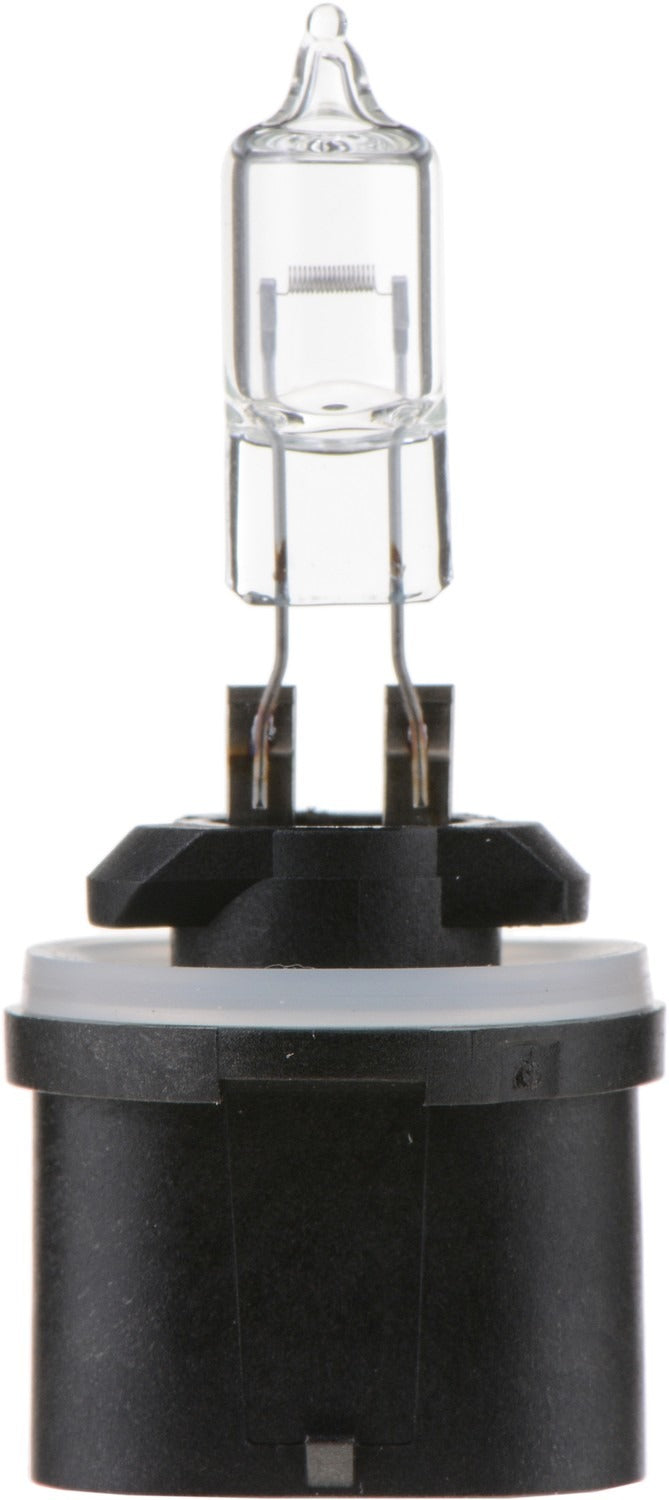 Philips Fog Light Bulb 890B1