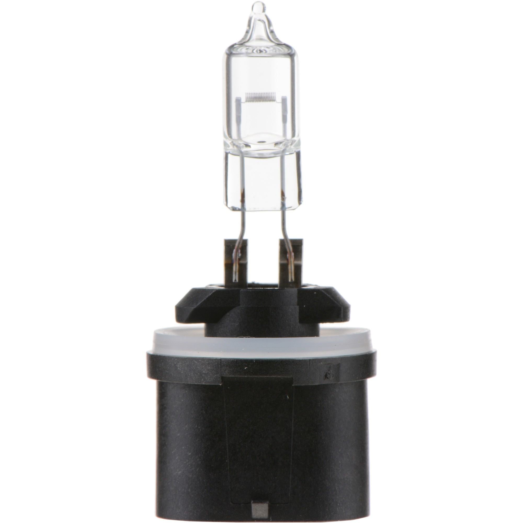 Philips Fog Light Bulb 890B1