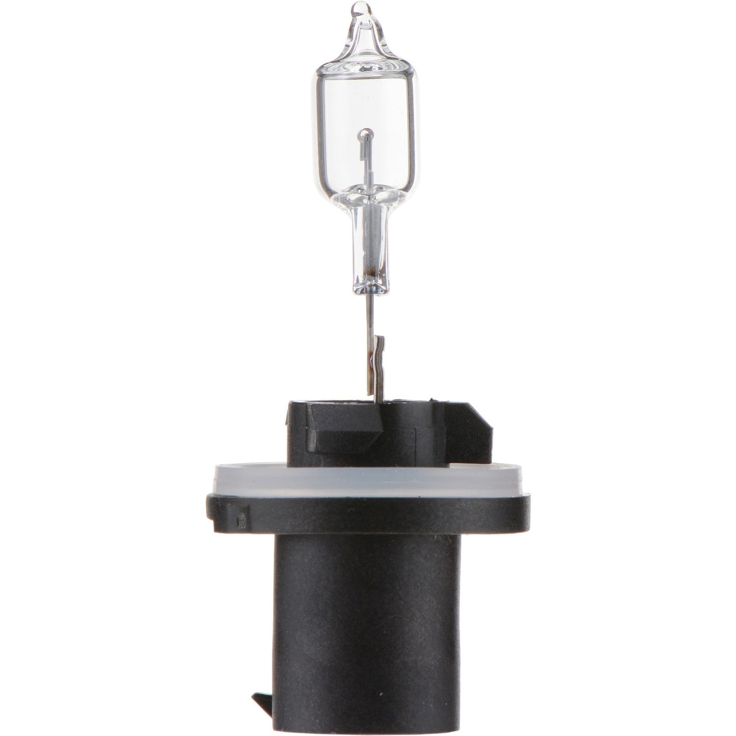 Philips Fog Light Bulb 890B1