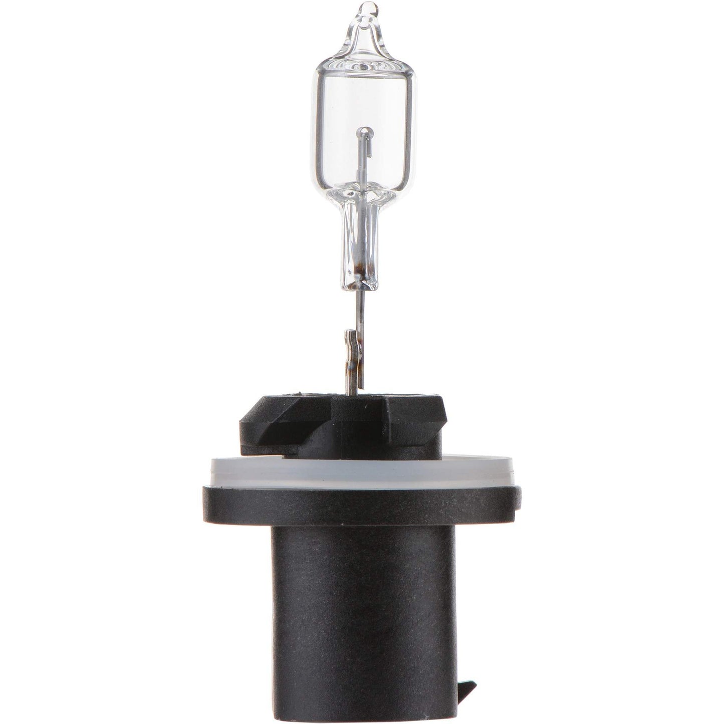 Philips Fog Light Bulb 890B1