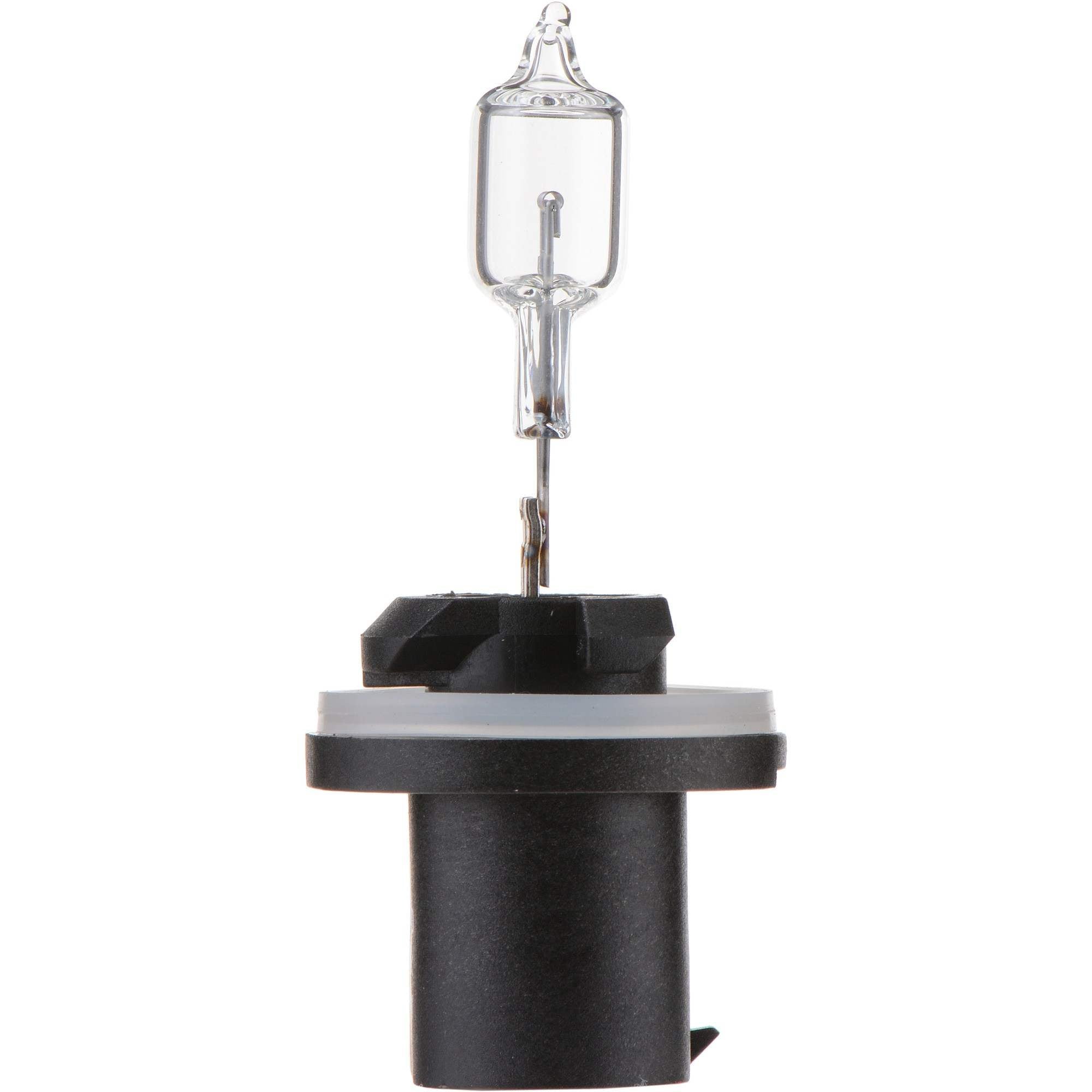 Philips Fog Light Bulb 890B1