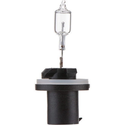 Philips Fog Light Bulb 890B1