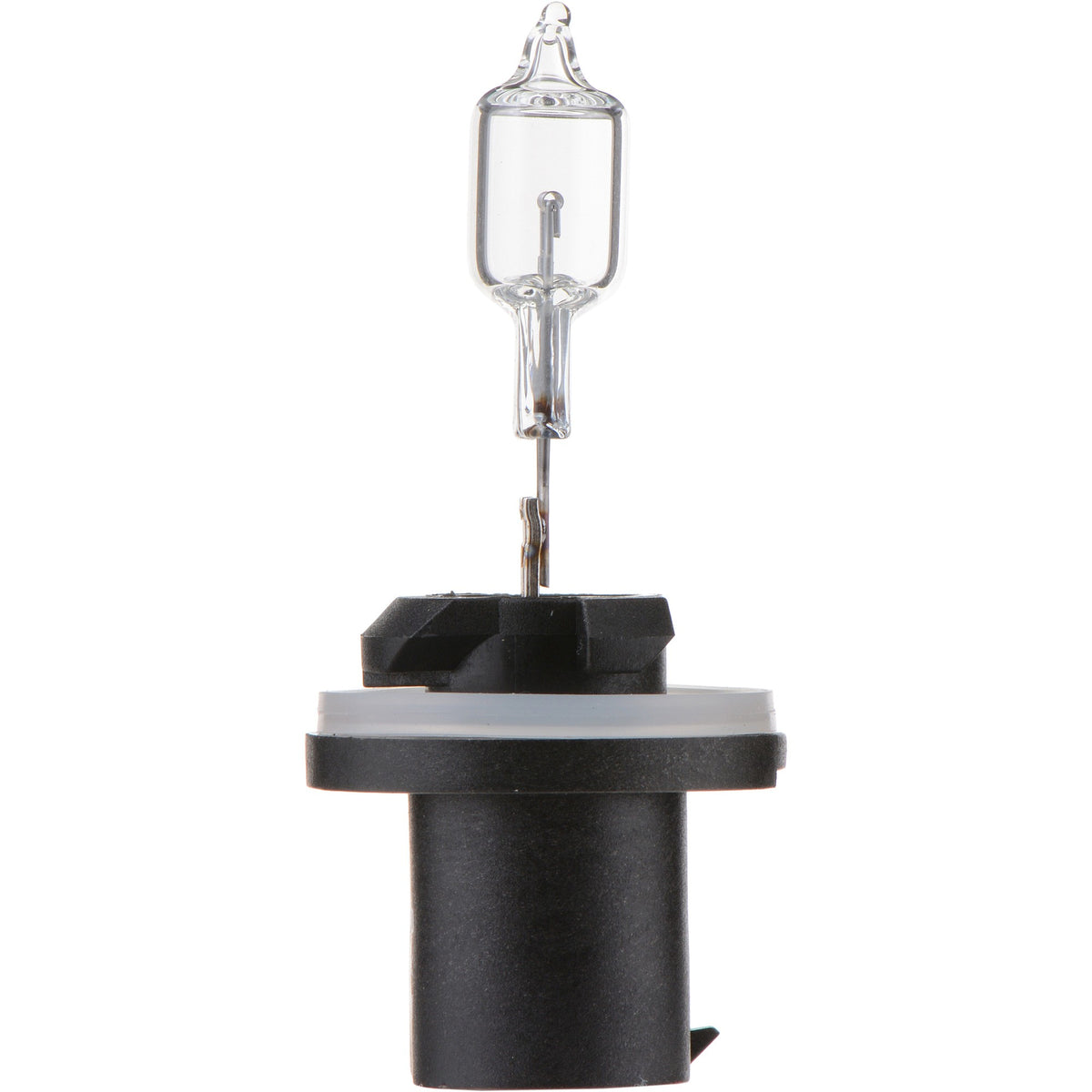 Philips Fog Light Bulb 890B1
