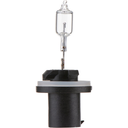 Philips Fog Light Bulb 890B1