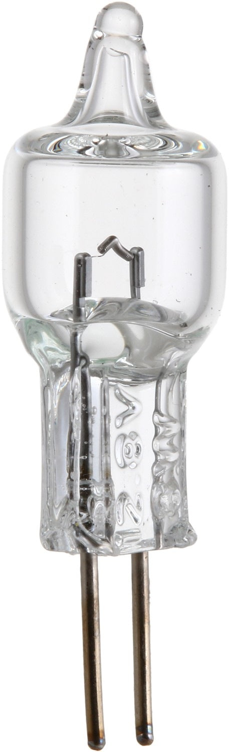 Philips Fog Light Bulb 891B1