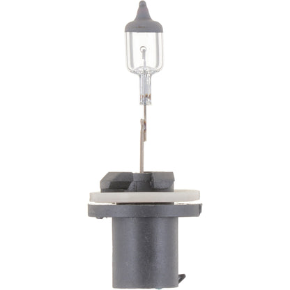 Philips Fog Light Bulb 893B1