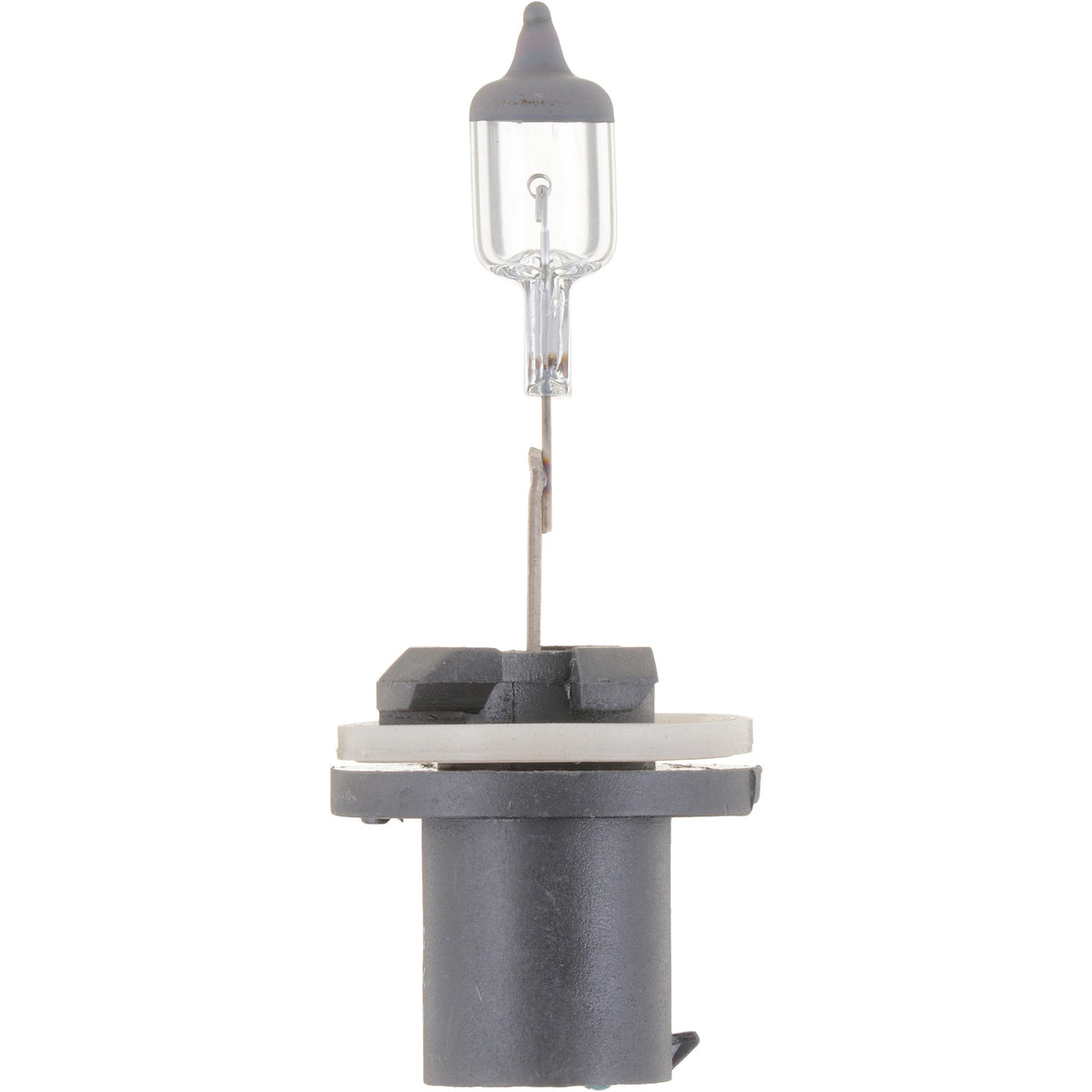 Philips Fog Light Bulb 893B1