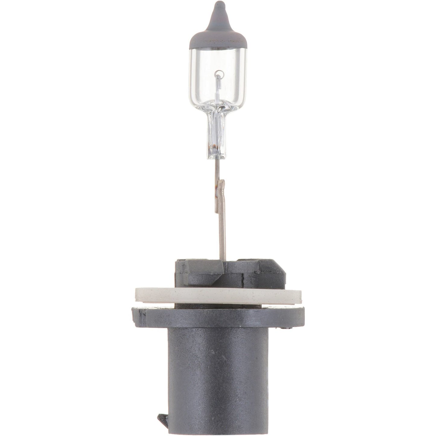 Philips Fog Light Bulb 893B1