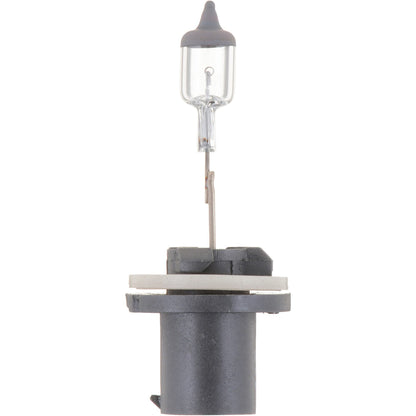 Philips Fog Light Bulb 893B1