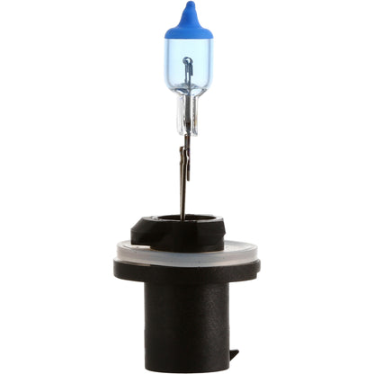 Philips Fog Light Bulb 893CVB1