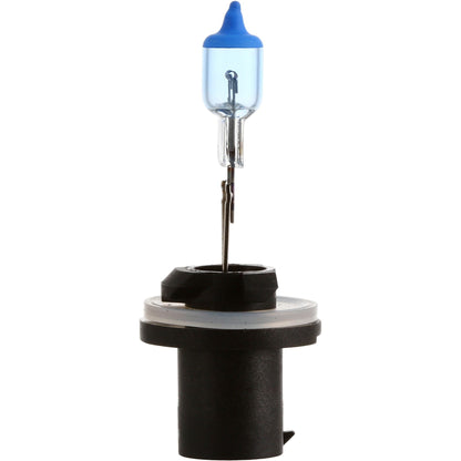 Philips Fog Light Bulb 893CVB1