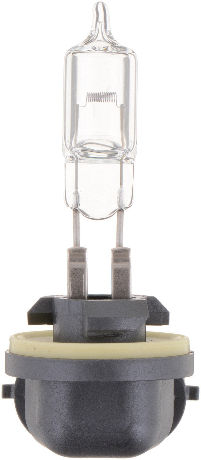 Philips Fog Light Bulb 894B1