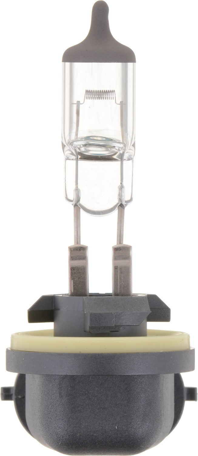 Philips Fog Light Bulb 896B1