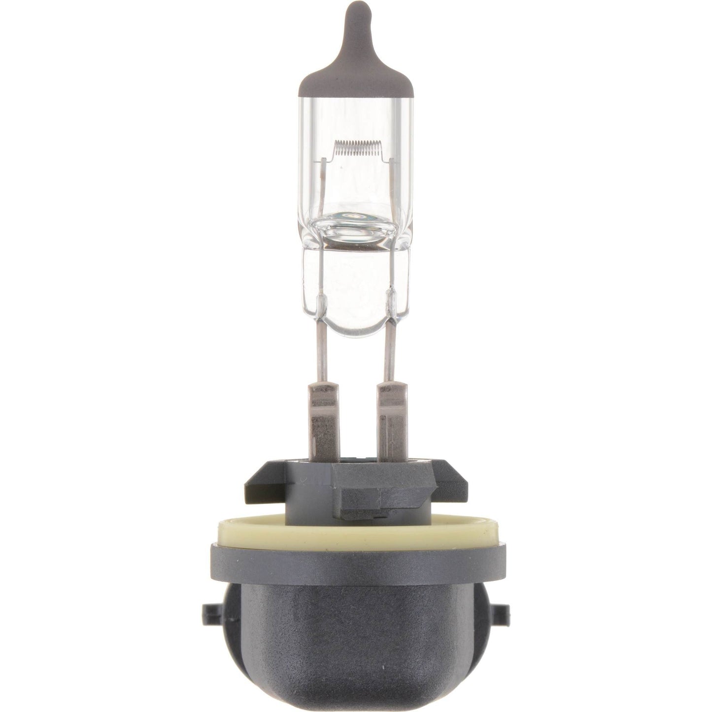 Philips Fog Light Bulb 896B1