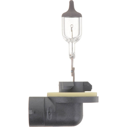 Philips Fog Light Bulb 896B1