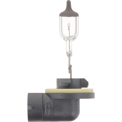 Philips Fog Light Bulb 896B1