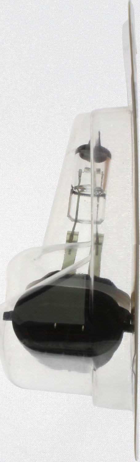 Philips Fog Light Bulb 896B1