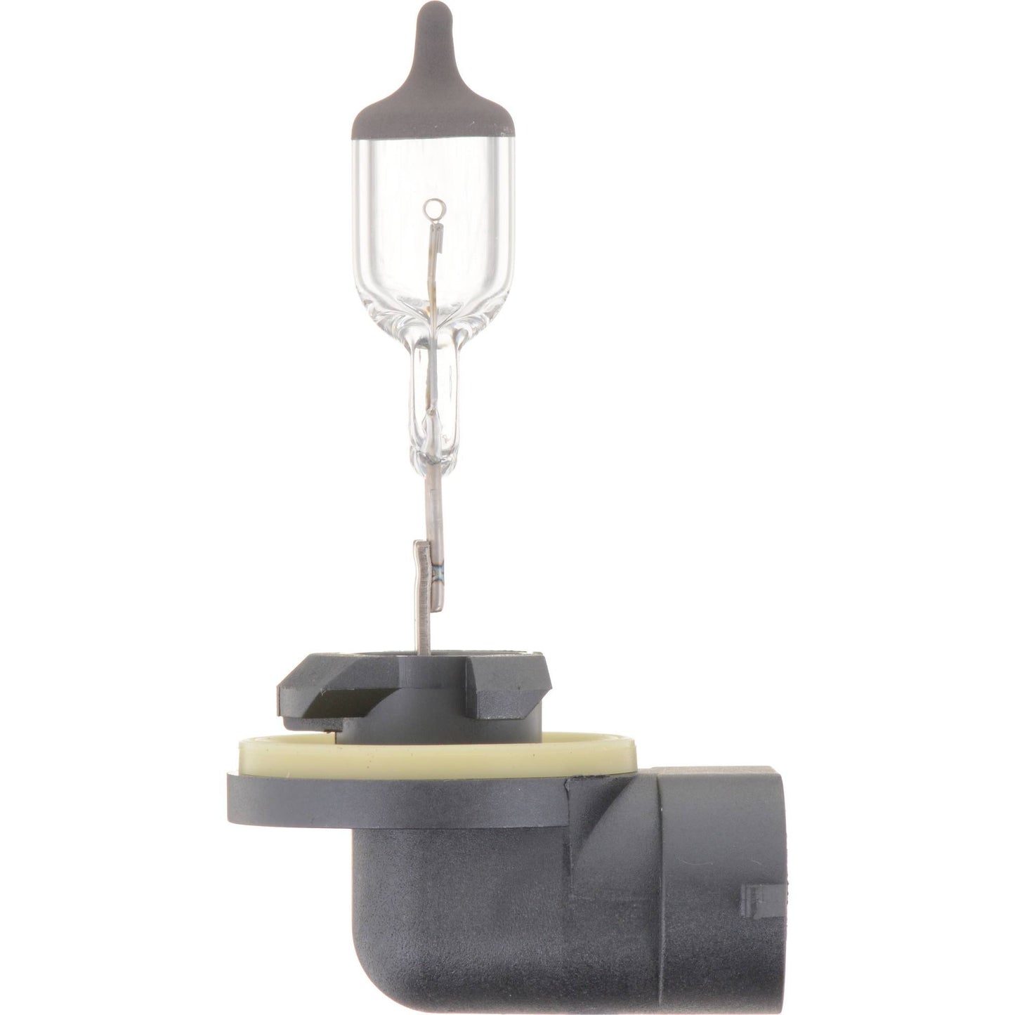 Philips Fog Light Bulb 896B1