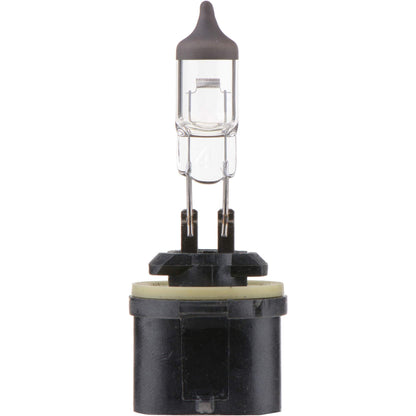 Philips Fog Light Bulb 899B1
