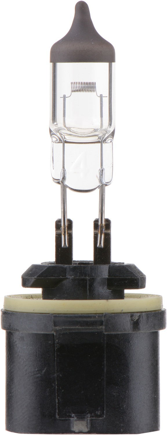 Philips Fog Light Bulb 899B1