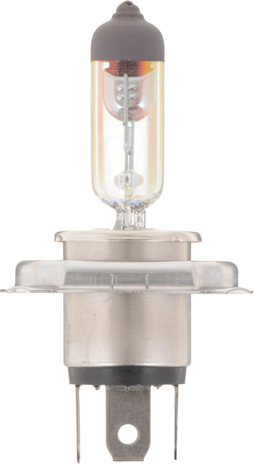 Philips Headlight Bulb 9003MVB1