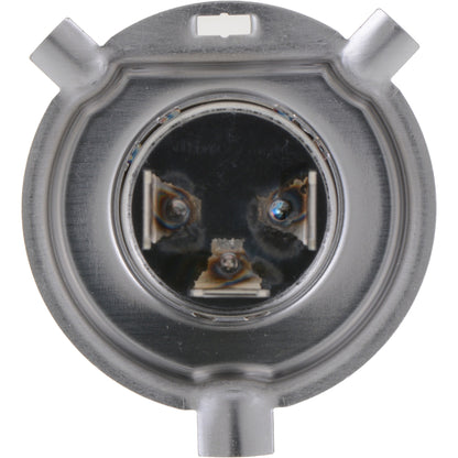 Philips Headlight Bulb 9003XVB1