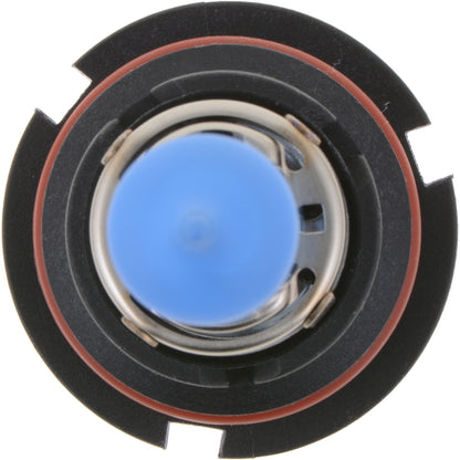 Philips Headlight Bulb 9007CVB1