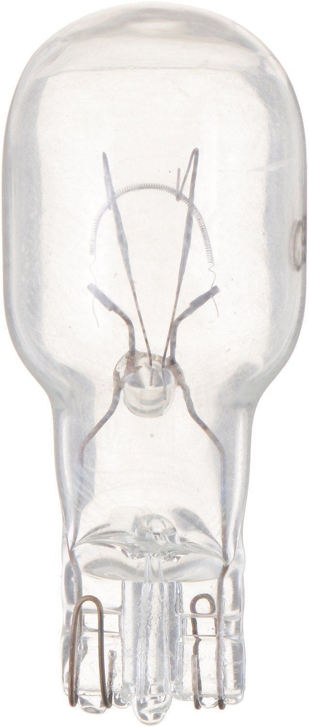 Philips Back Up Light Bulb 904CP