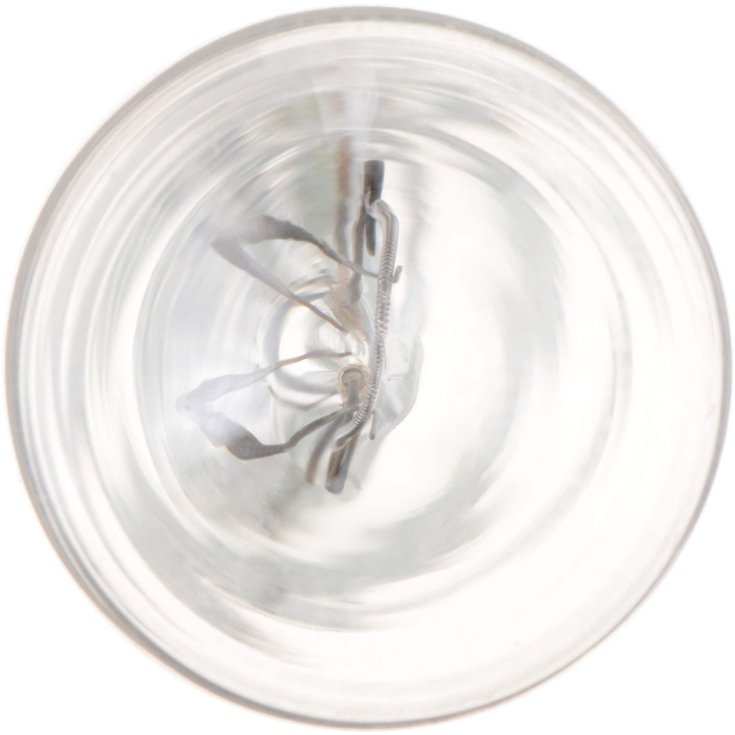 Philips Back Up Light Bulb 904CP