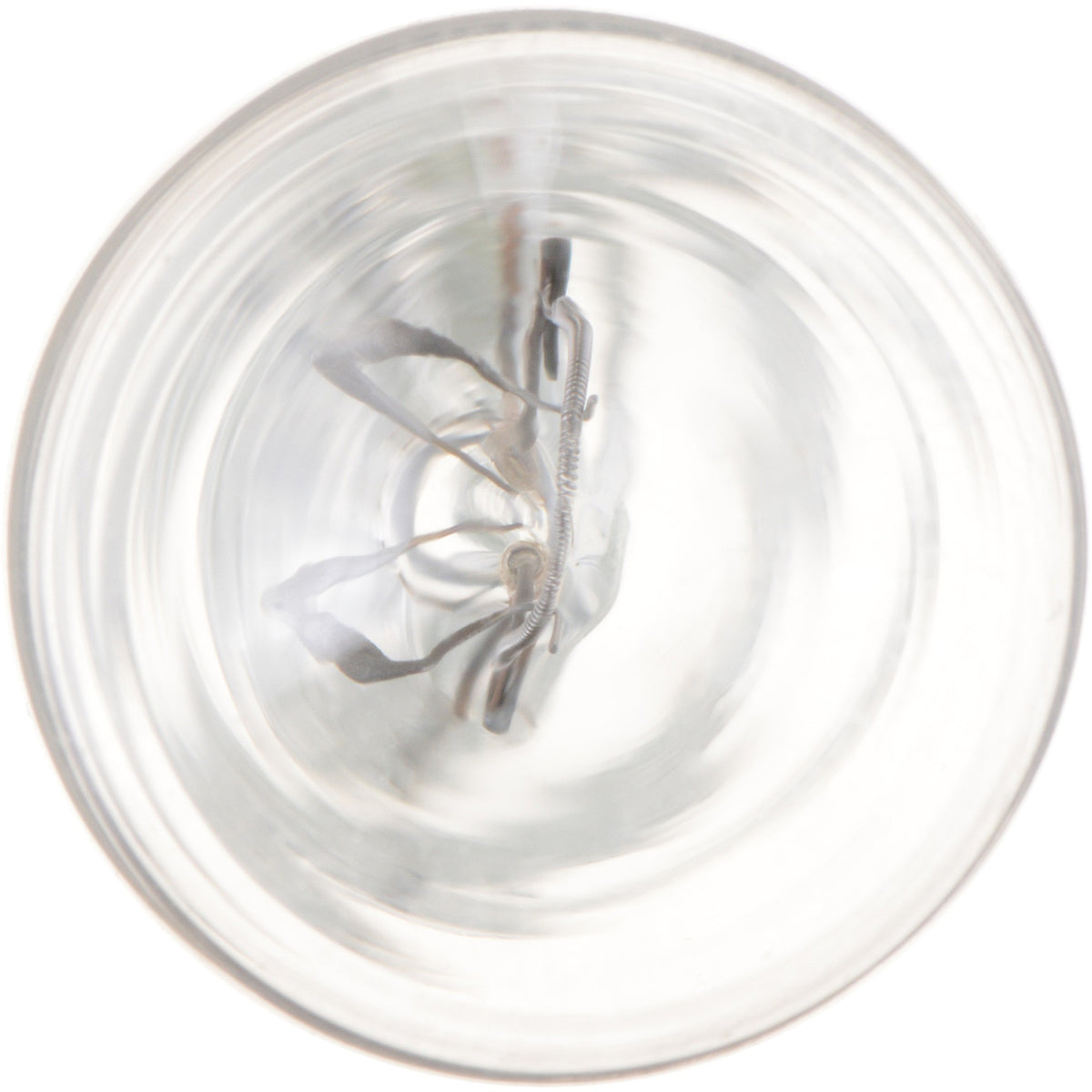 Philips Back Up Light Bulb 904CP