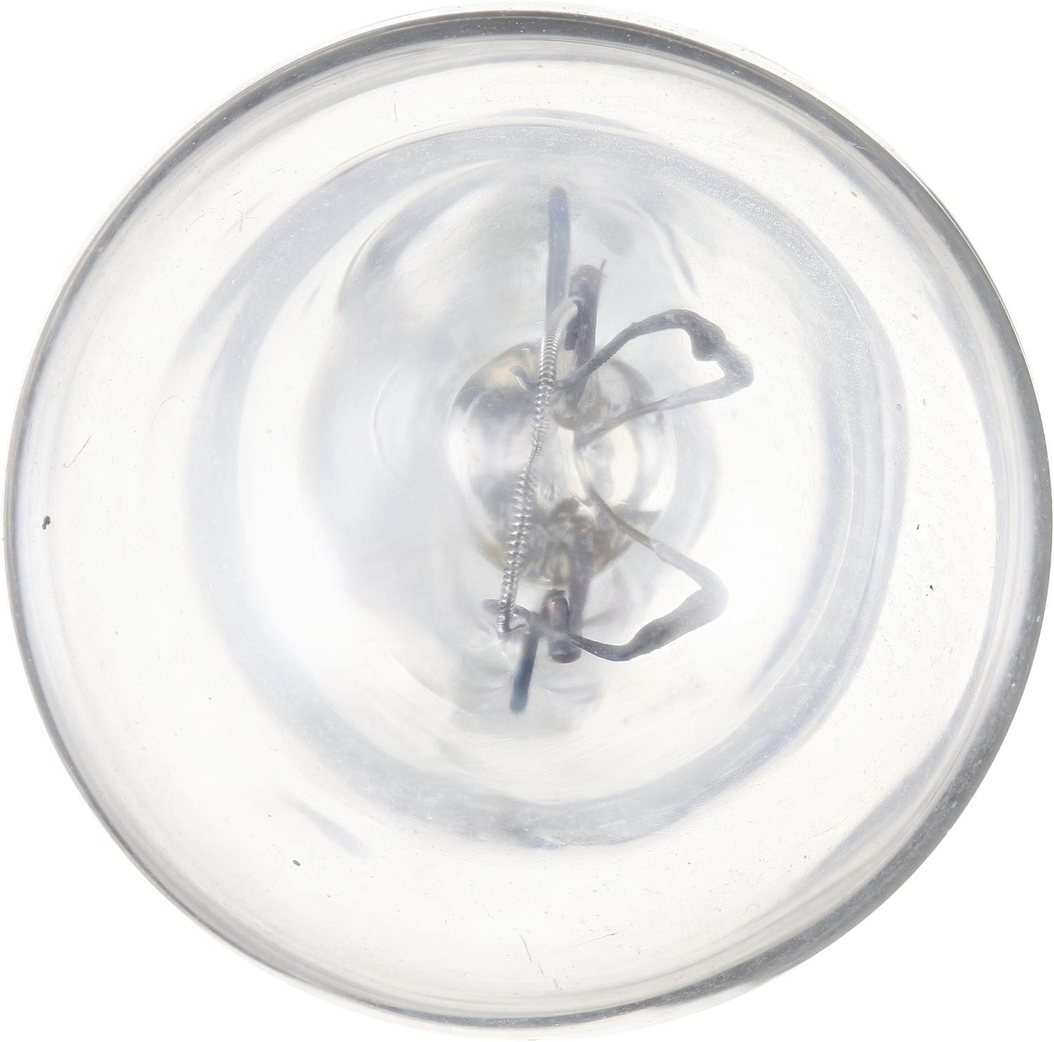 Philips Back Up Light Bulb 906B2